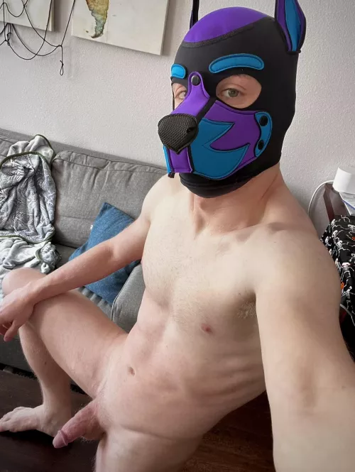 Lets fuck on… uh, the table? 😅