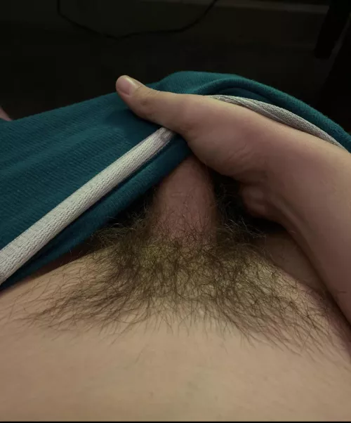 My 18 y/o bush. Do you like it?