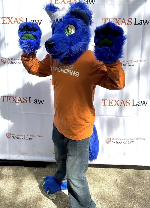 My law school had a costume contest today, so I wore my fursuit to class :3