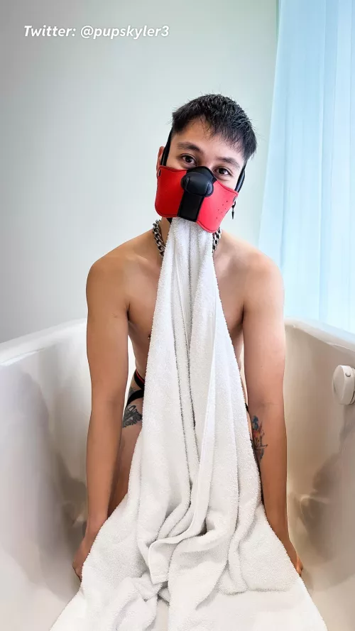 Need a towel? 😋🐾