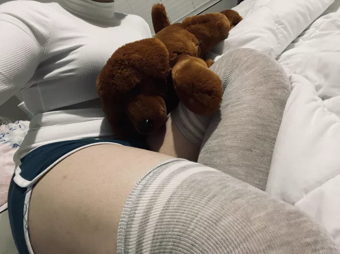 plushies are the best! :3