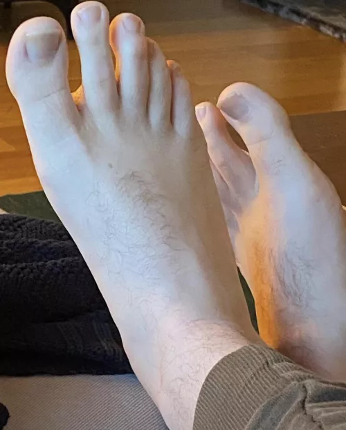 Should I start an OF or FF? 😉