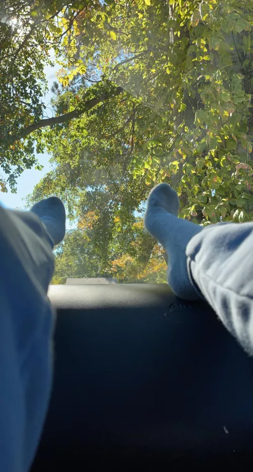 Socks on the dash to distract you