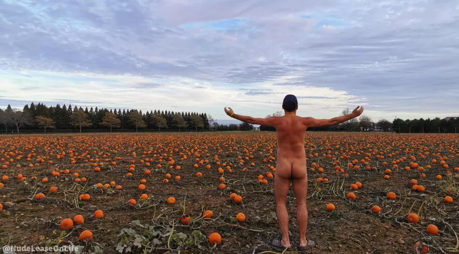 The birthday suit definitely gets our vote for the best costume; inexpensive and easy to clean as well! Happy Halloween everyone! 🎃