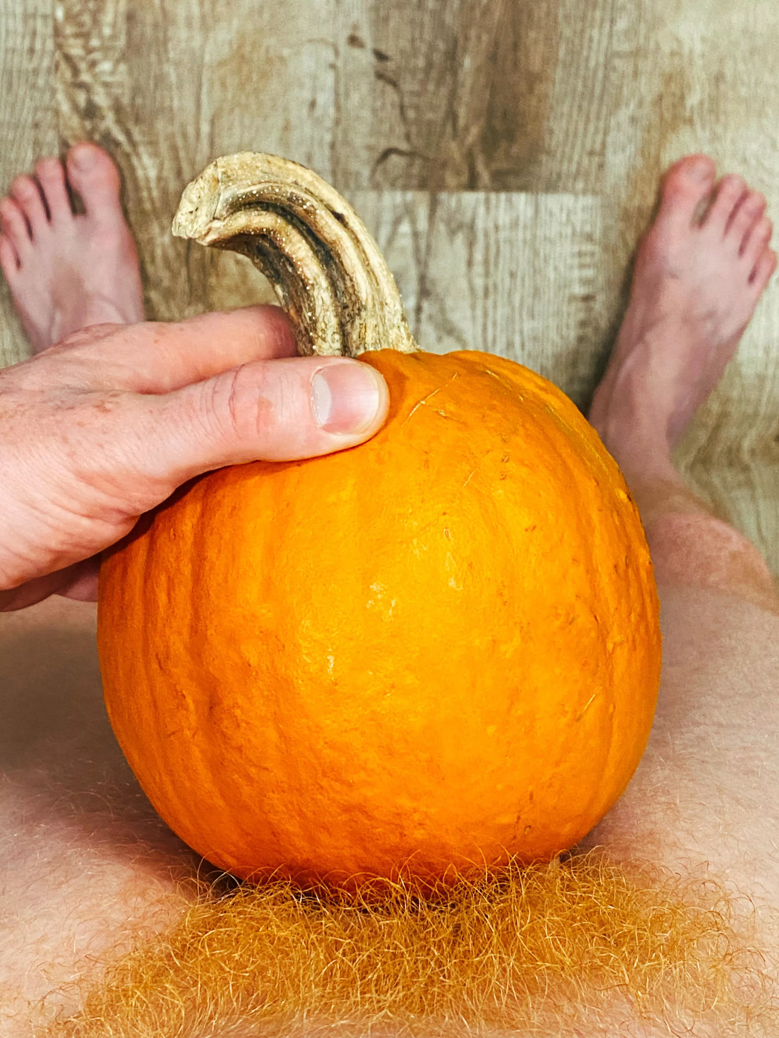 Welcome to my pumpkin patch