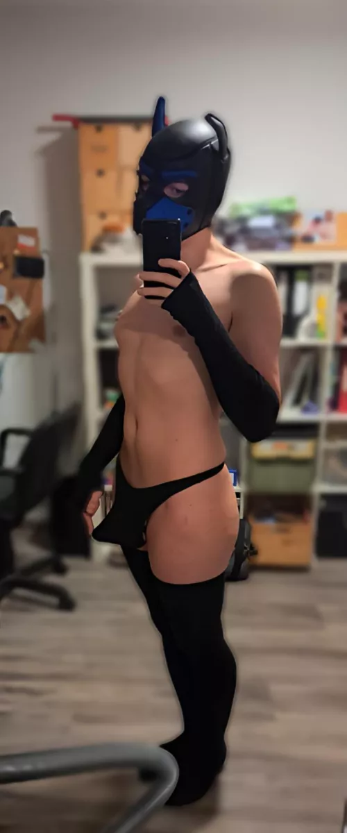 well... guess I'm a puppy since yesterday so uh- hello 🥺