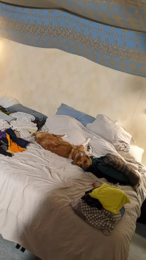 What my date might walk in on if they showed up early