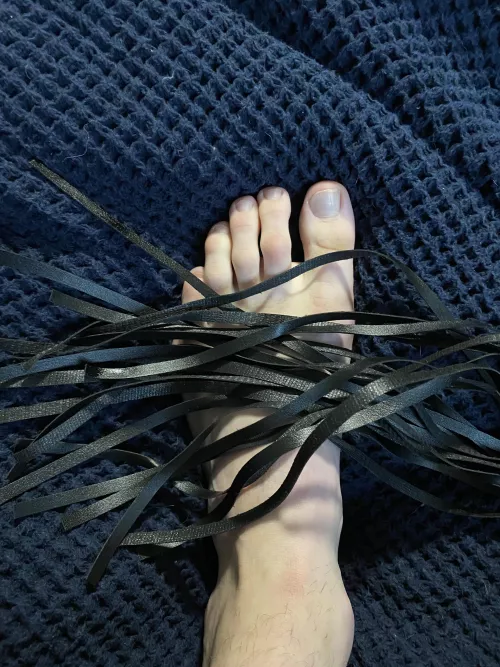 What toys do you like?