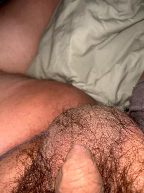 Who wants to suck Daddy’s balls? DM open to all
