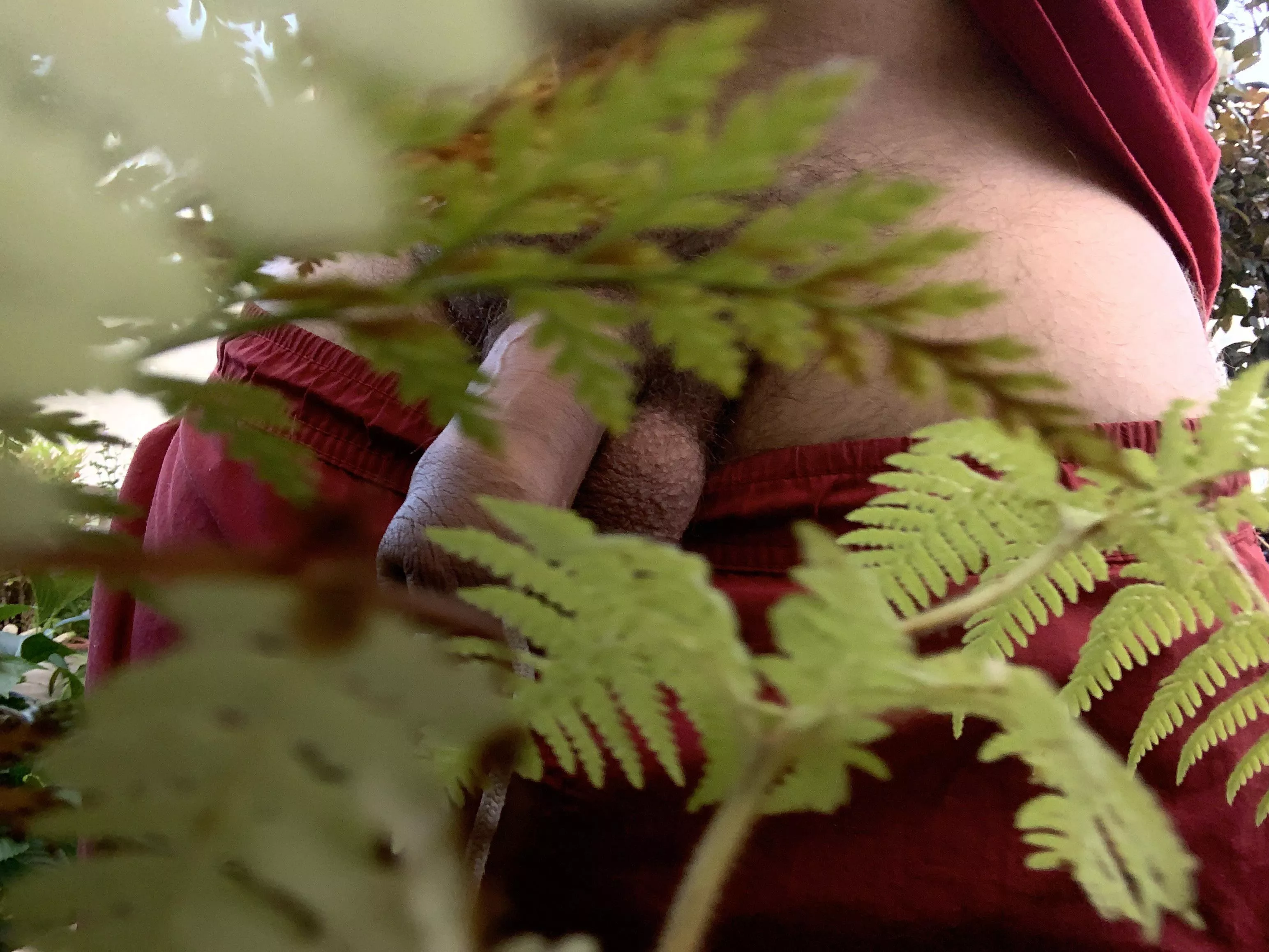 Would you fuck me in the garden?