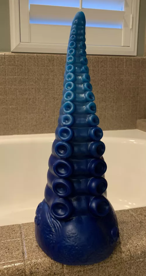 XL Ika Larger Than Described!