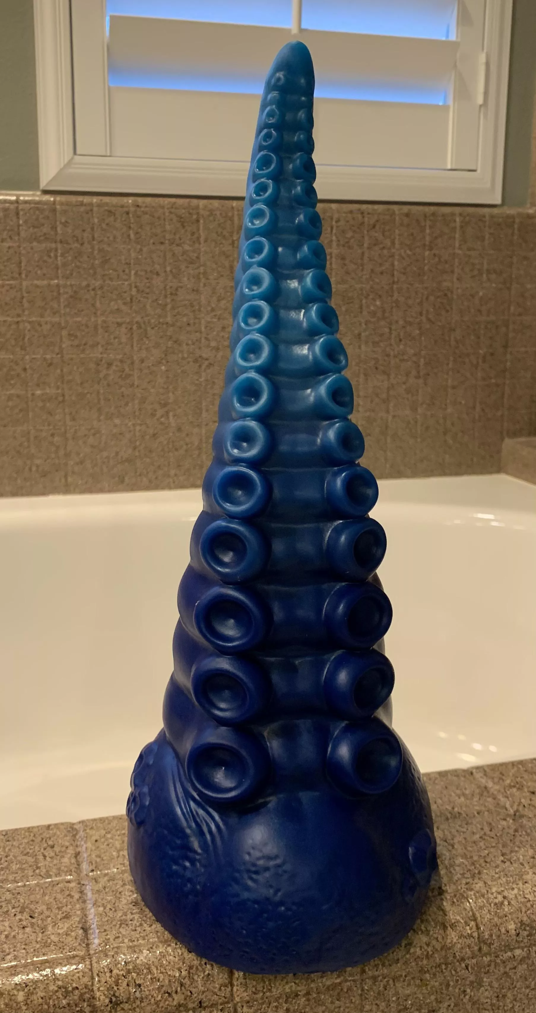 XL Ika Larger Than Described!