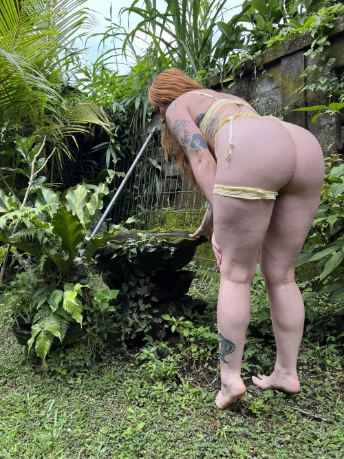 You spot a wild jax, what’s your next move