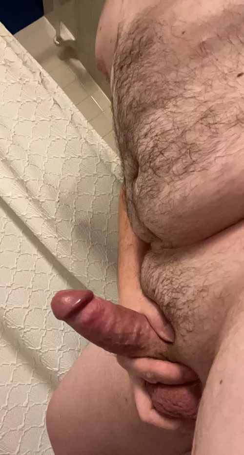 30, any top masculine dudes out there into suckin bear cock like mine? 😈