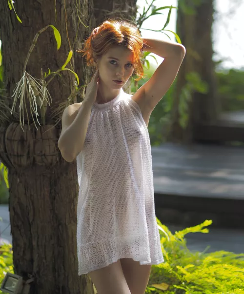 beautiful photo for your beautiful day