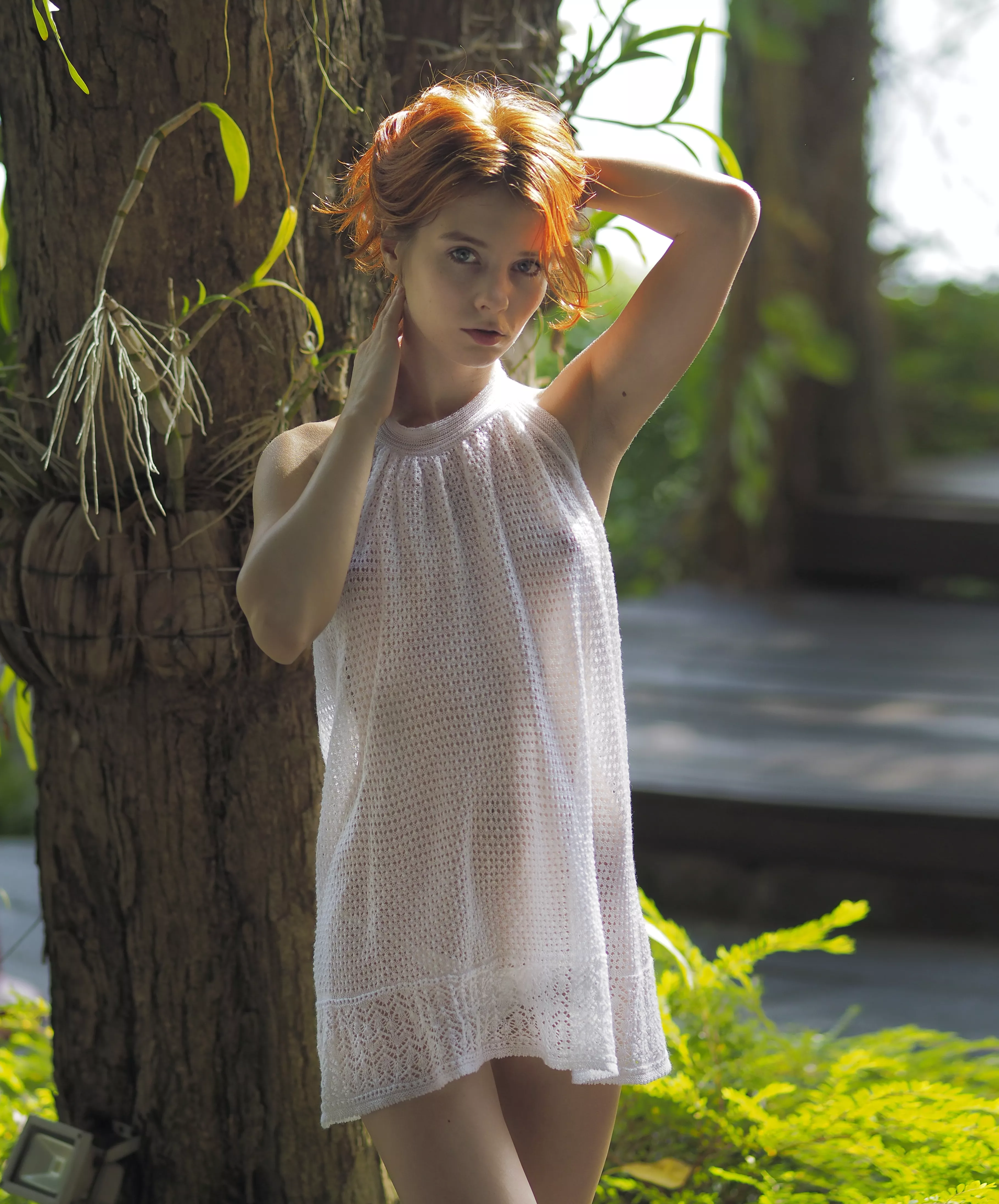 beautiful photo for your beautiful day