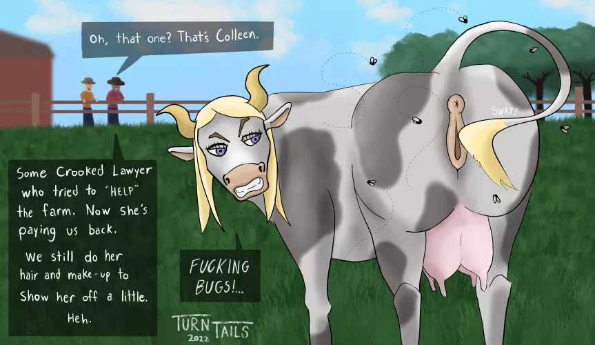 Colleen’s Cow Transformation