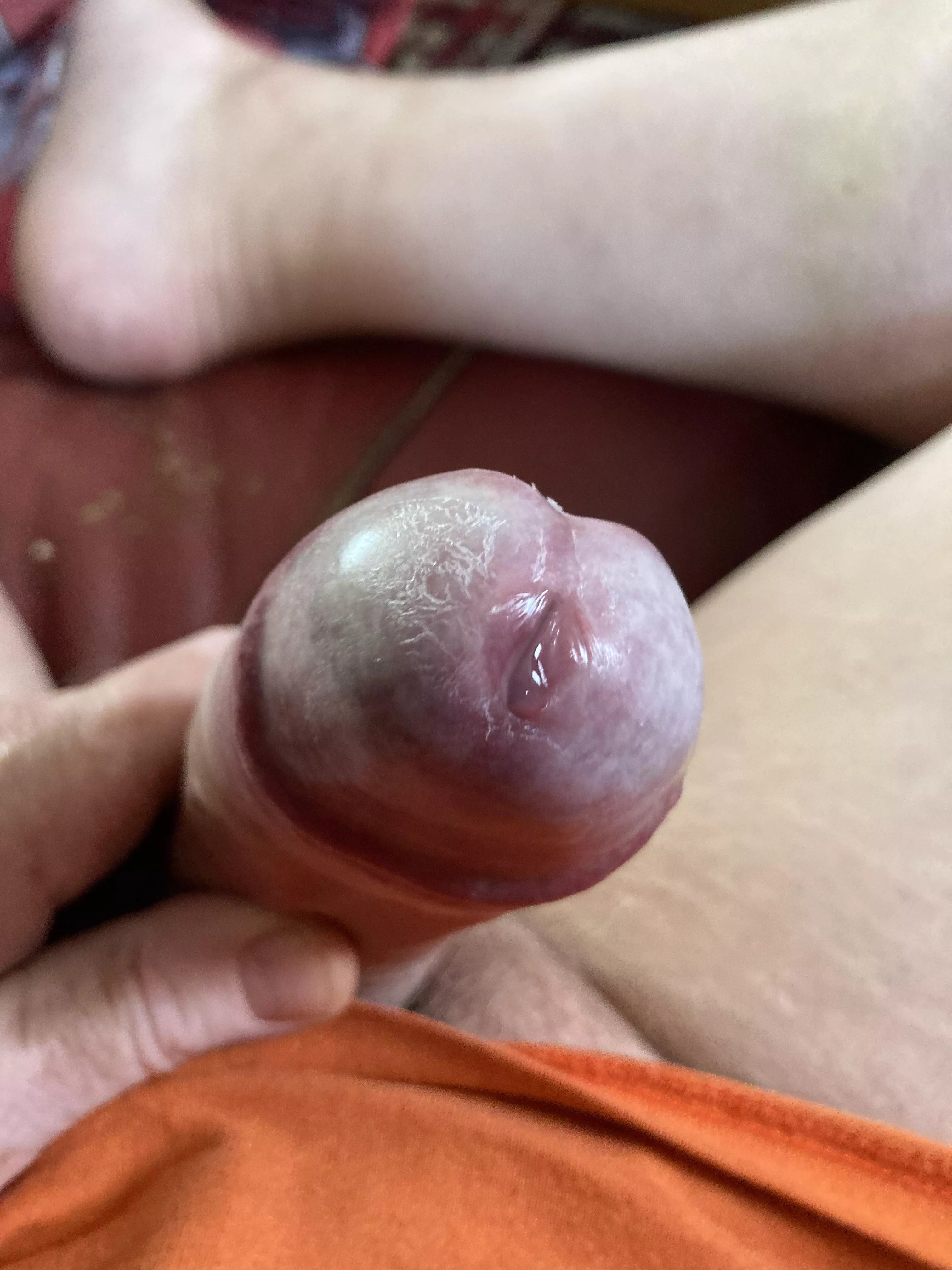 Daddy 58 , day 3 of edging and the pre cum is here