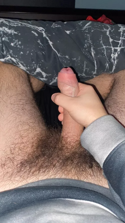 Do you like my bush?