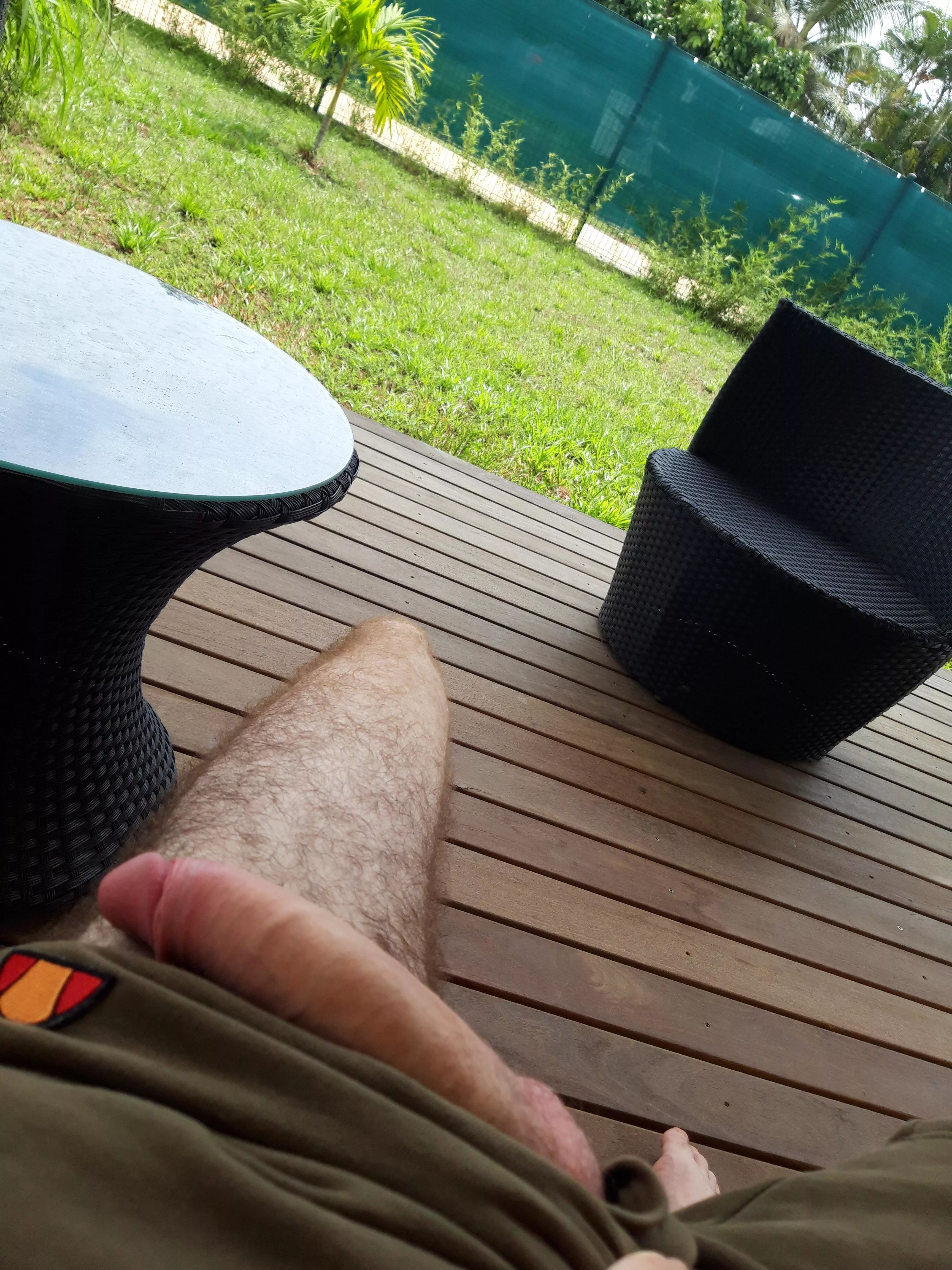 exhibition while my neighbors are doing work on their house