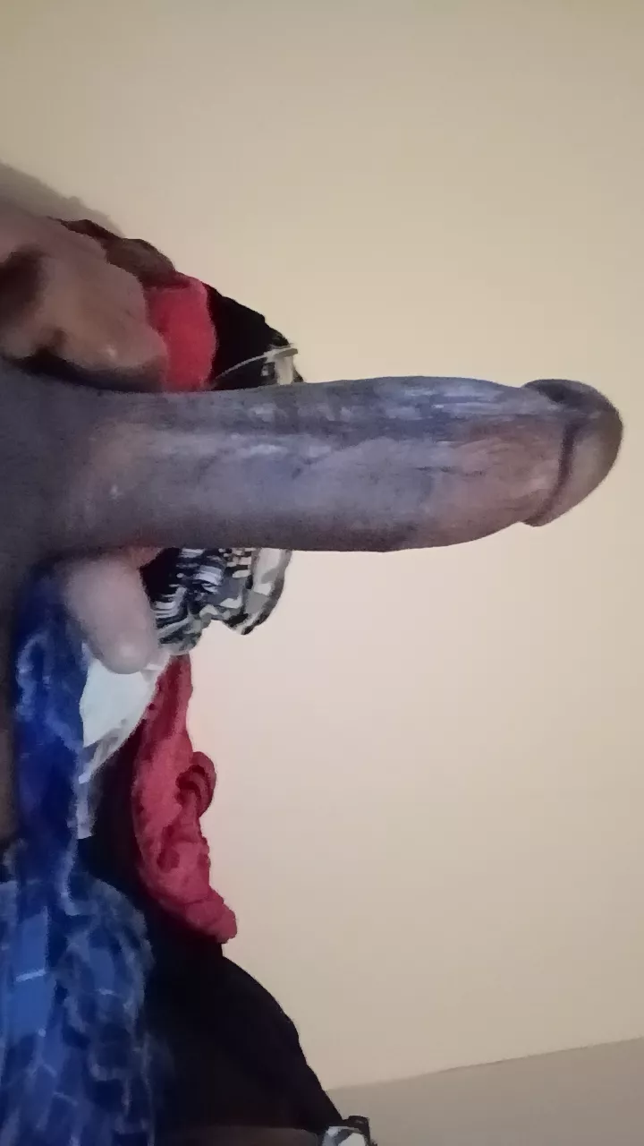 folding clothes decided to play