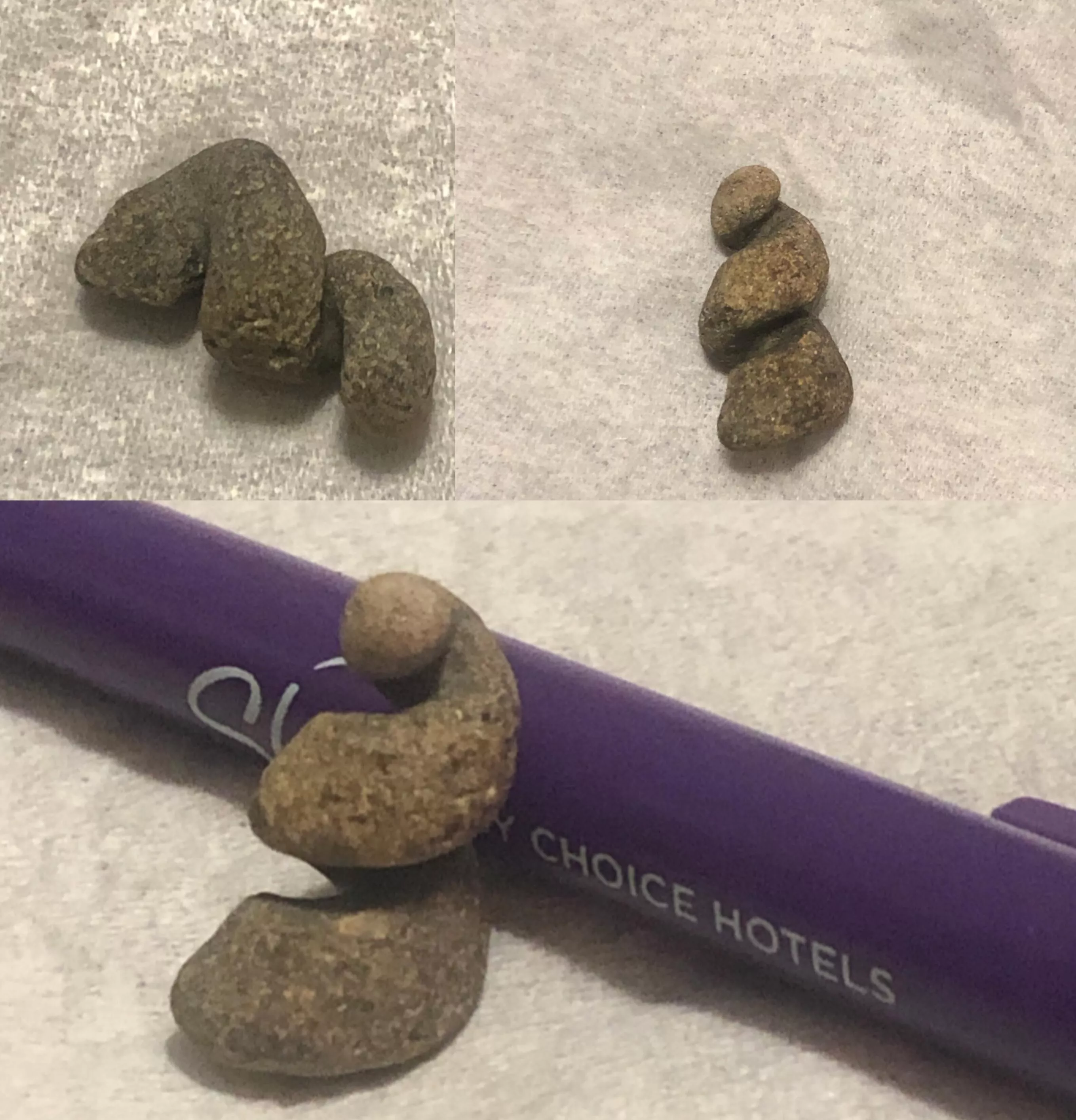 Found last week at Topsail Island, NC while searching for shells, Anyone know what this is? Feels like stone