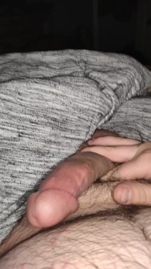 i have a need to breed