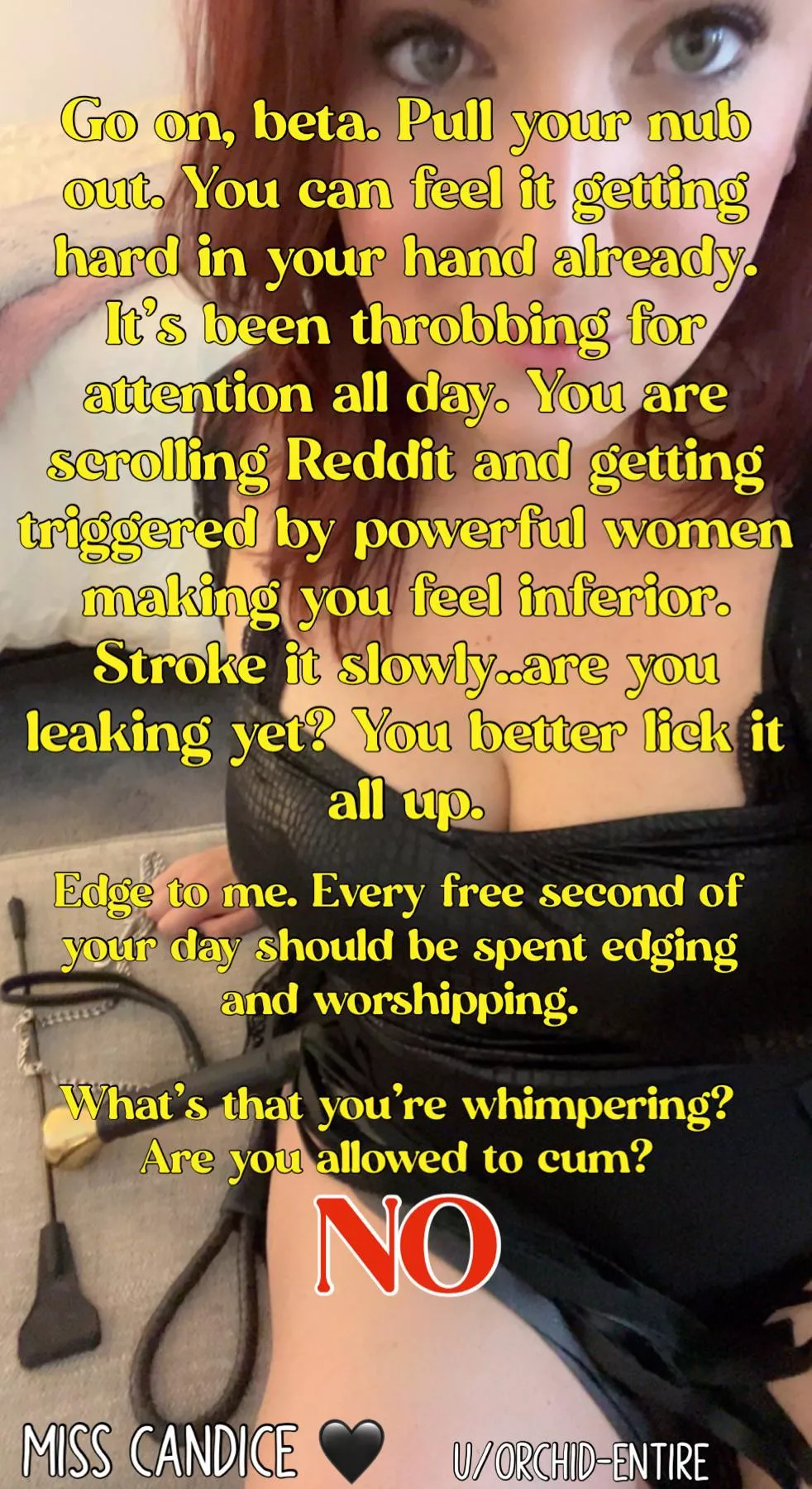 I have plans for you today. Throb. Edge. Leak. Ache. Repeat. Sink into the denial, beta.