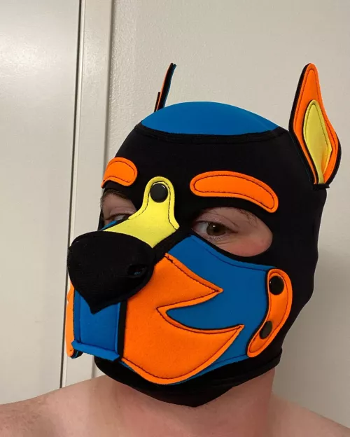 In love with my custom hood!