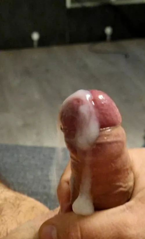 Jemand zum sauber lecken gesucht