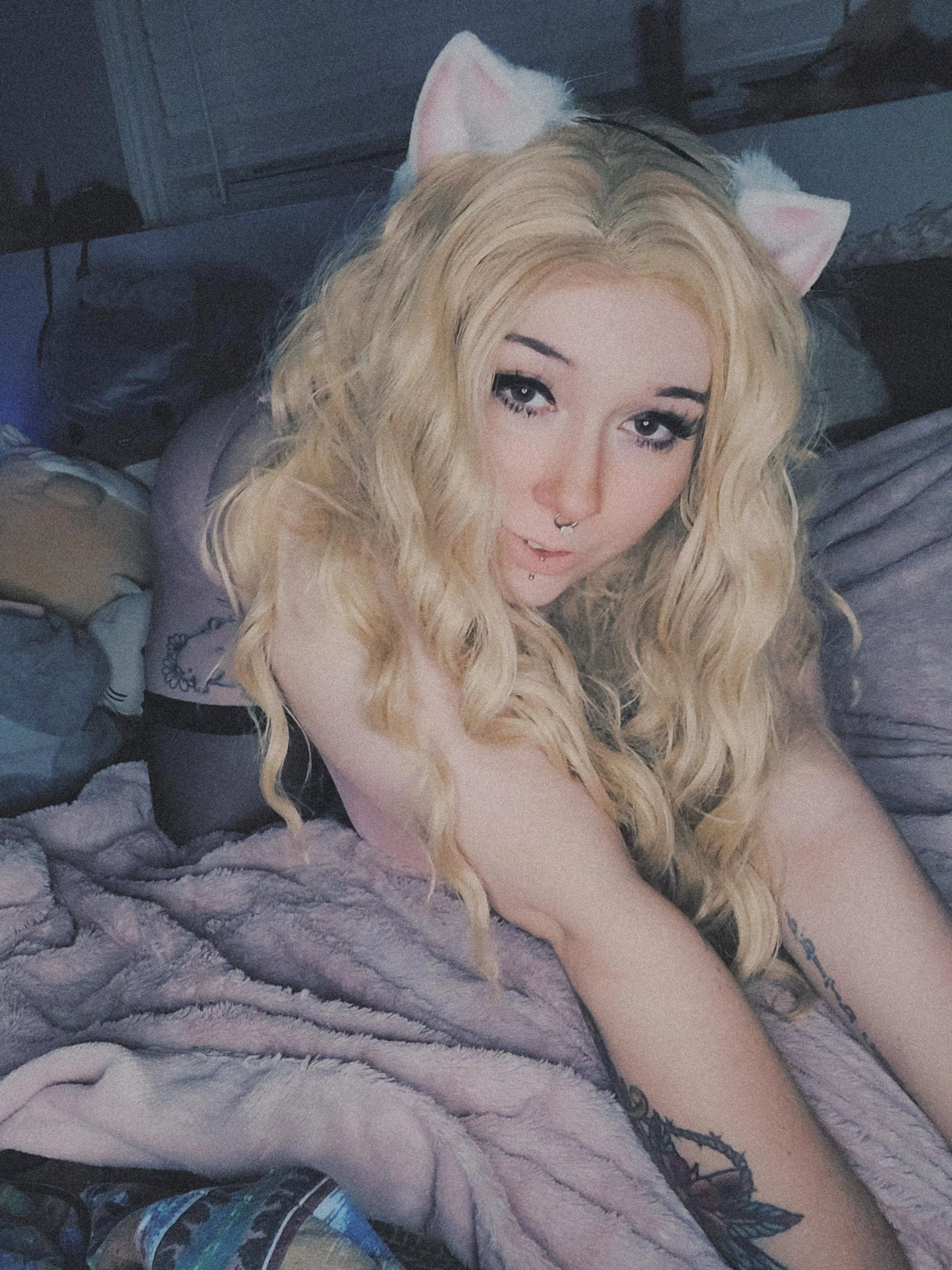 kitten wants cuddles