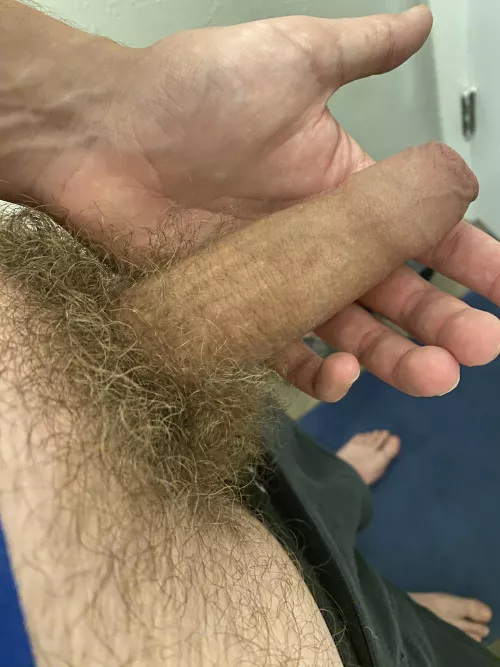 My elephant trunk (26)