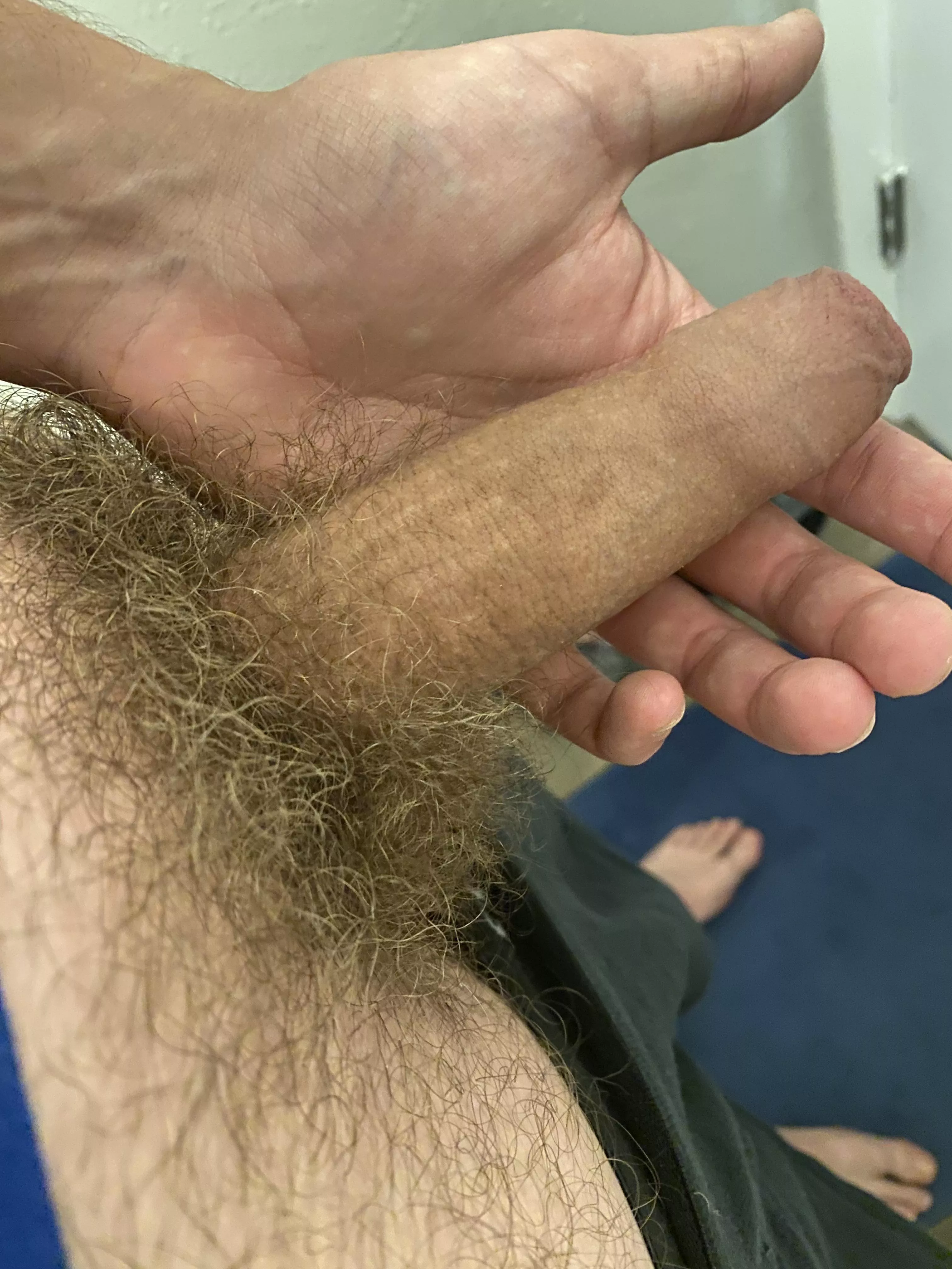 My elephant trunk (26)