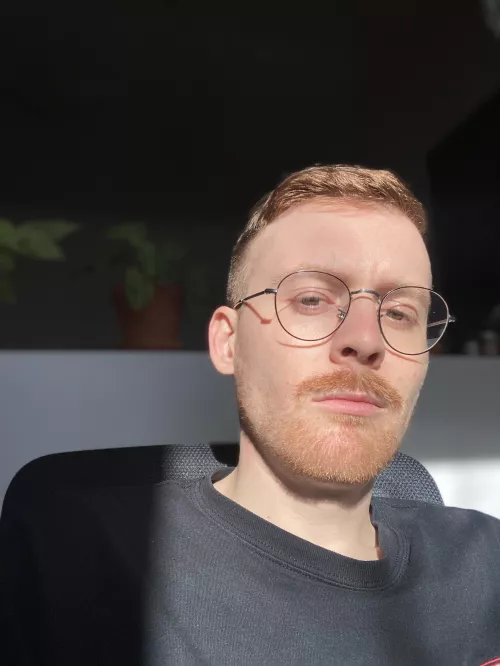 Need someone to push me out of bed in the morning pls thks