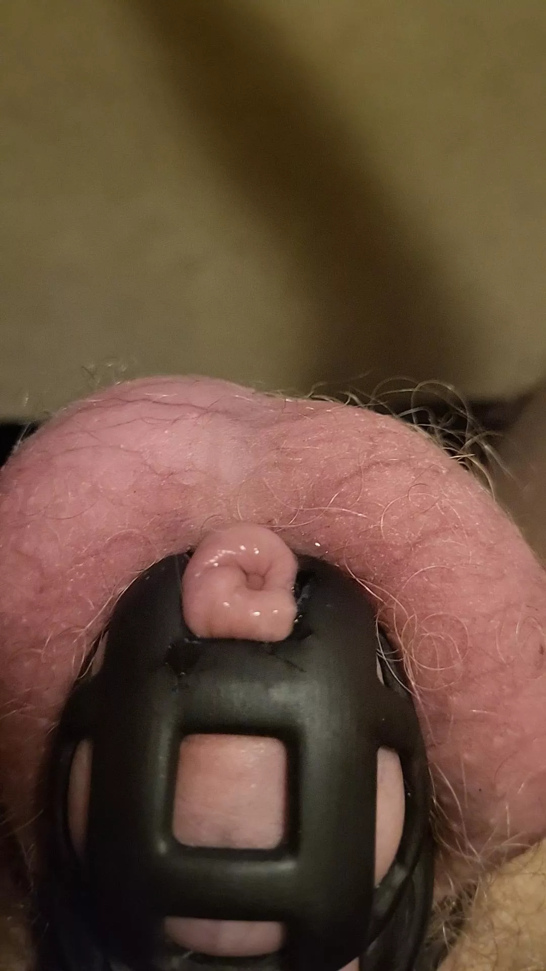 Precum leaking out of my cage, NNN is difficult