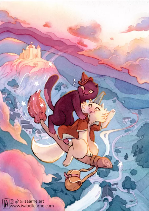 Sunset flight, by me