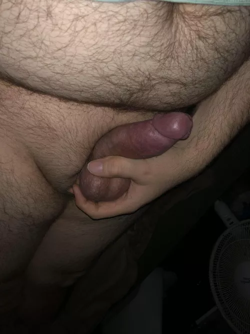 The bear necessities