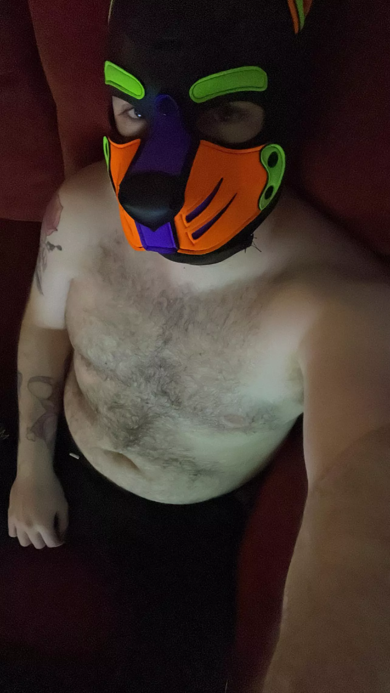 Wanna hang out? Woof