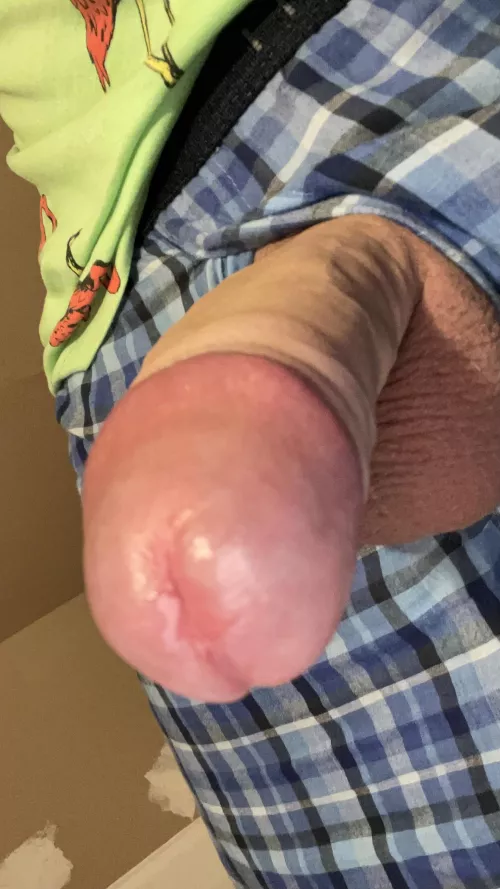 wanna help me fail NNN?