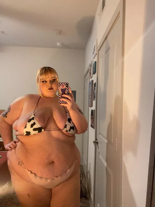 what do you like more? my big tits or my big soft tummy! 💗