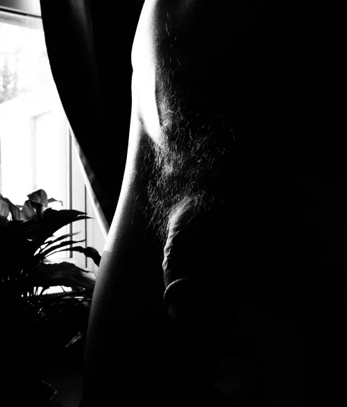 Bright morning light