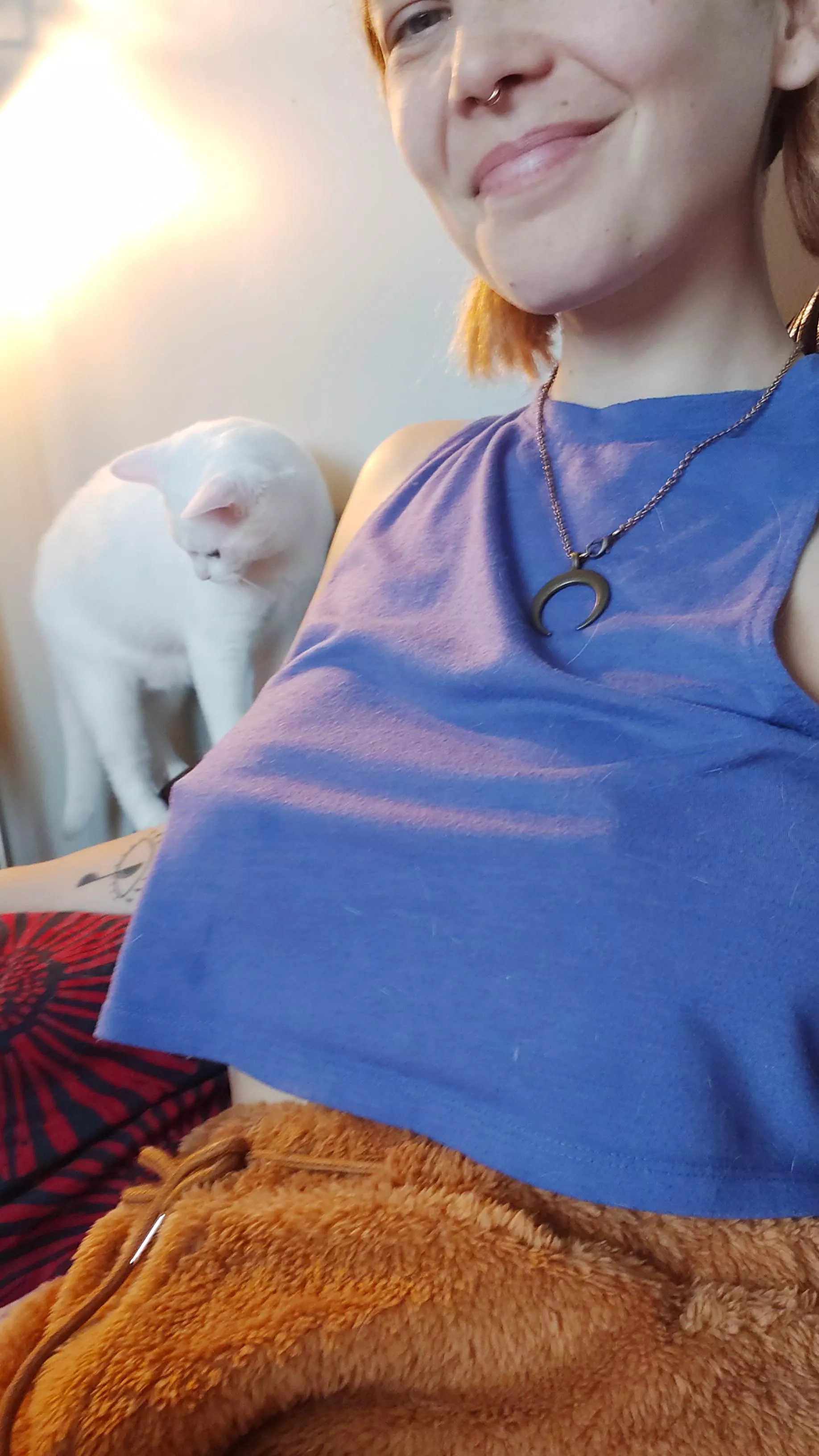 cat hair clad 🐈‍⬛