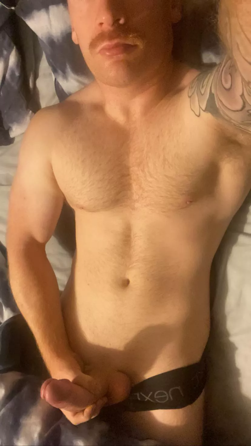 Do you like my ginger tash?