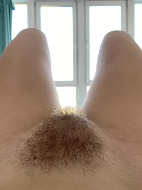 do you want to be between my legs?