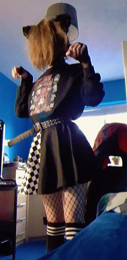 goofy little indie catboyo