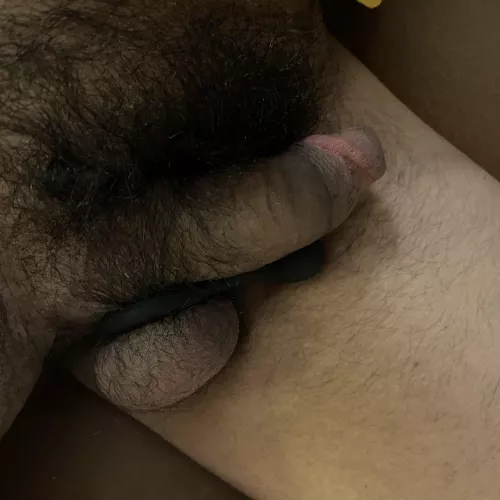 Got some new hardware. Just beginning my training.