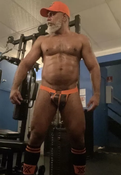 Gym bear