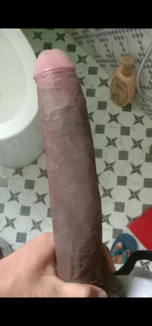 I am looking for obedient sissy , which have bubbly ass to take my bbc 🍆😈