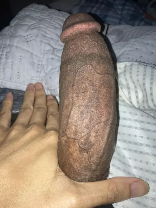 I need a good bj 😉