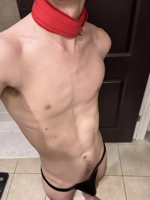 I want someone to pull me around in this